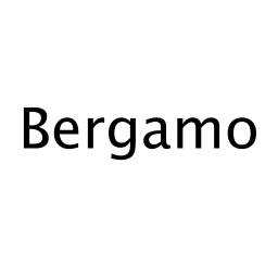 Производитель Bergamo