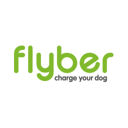 Виробник - Flyber