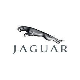 Производитель Jaguar