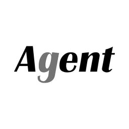 Производитель - Agent